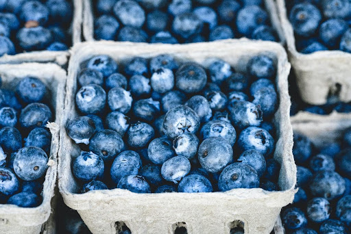 Berry Farming Tips in Minnesota